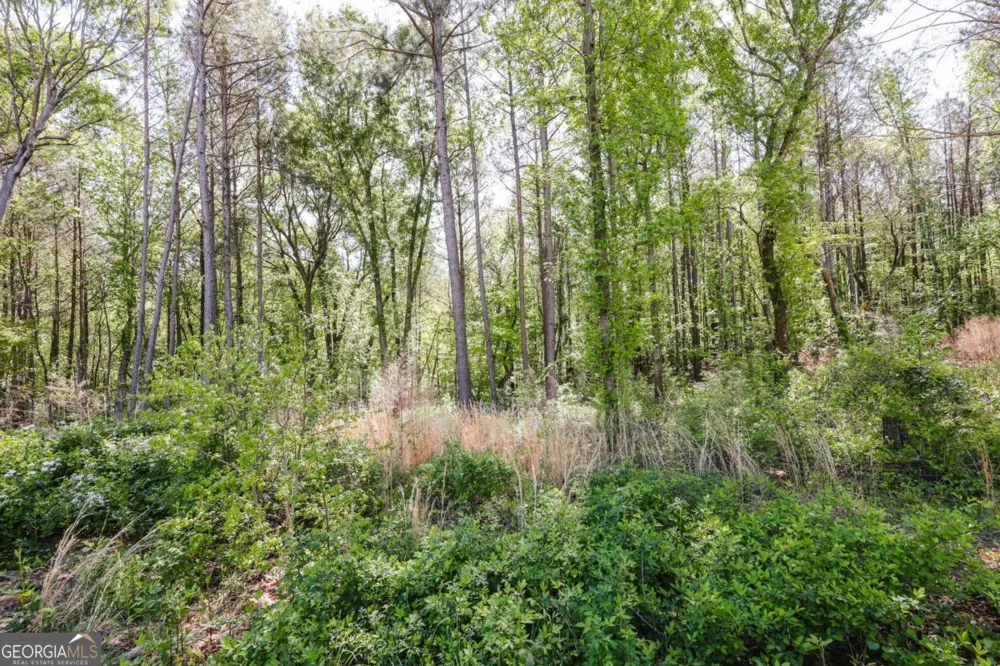 773 Shoal Creek RD Colbert, GA 30628