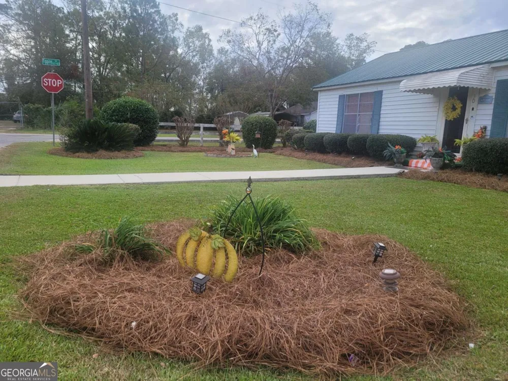 30 S Mccrorie ST Baxley, GA 31513