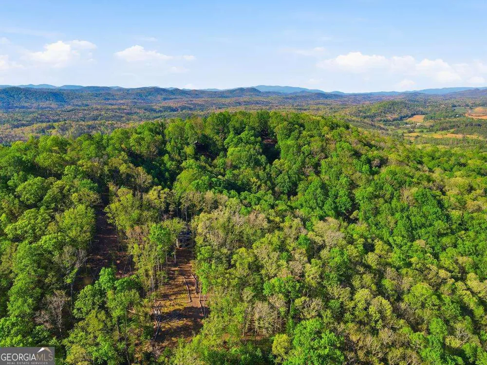 194 Quiet Woods TRL Murphy, NC 28906