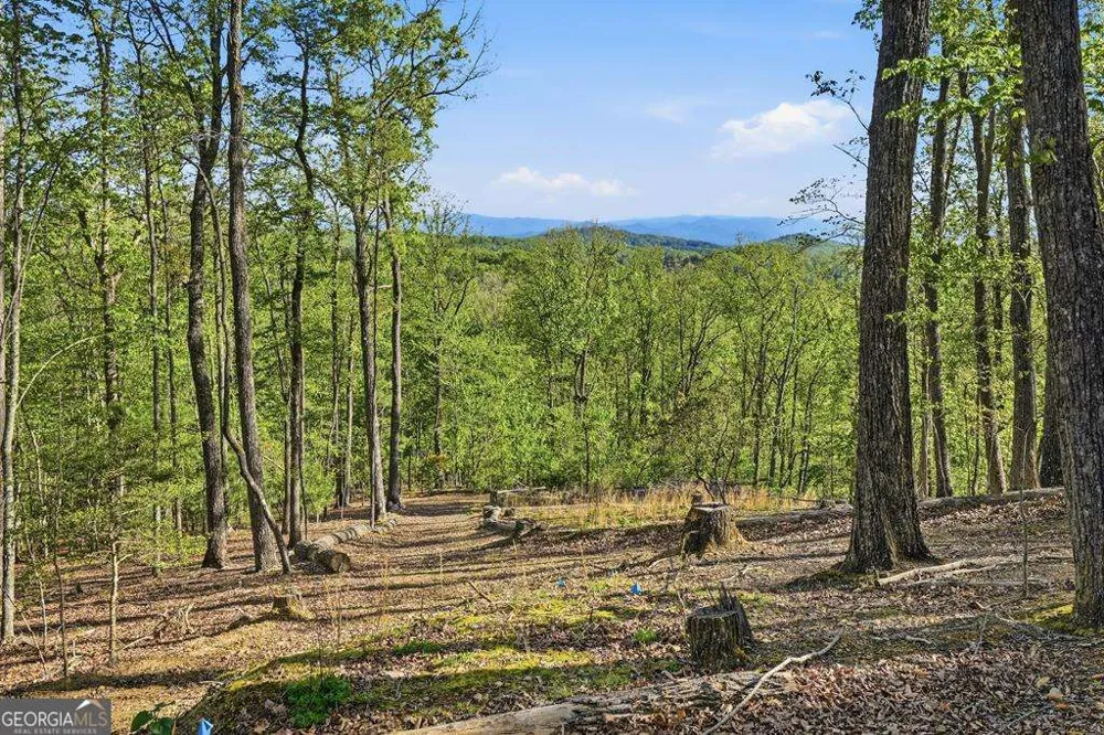 194 Quiet Woods TRL Murphy, NC 28906