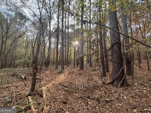 0 Oconee Rd Lot 4