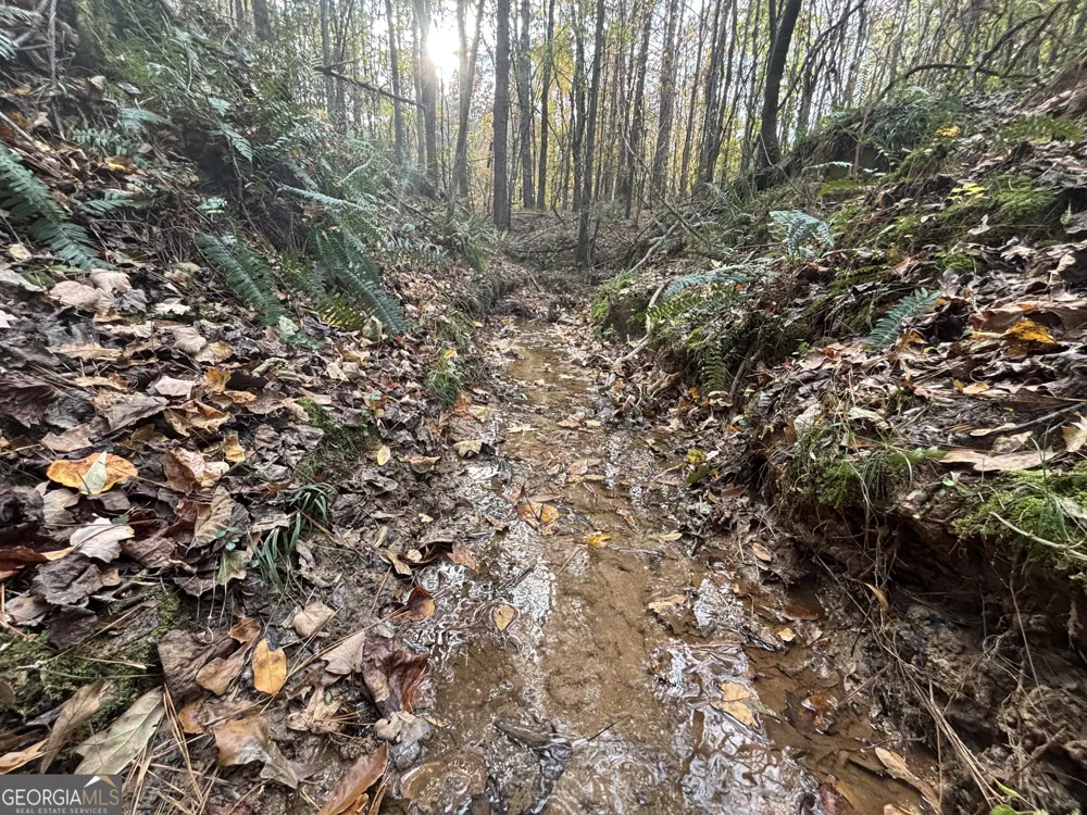0 Oconee Rd Lot 4 Buckhead, GA 30625