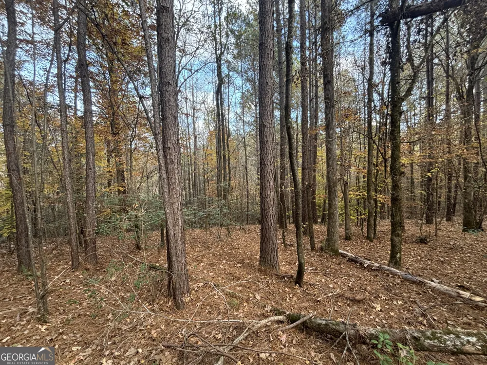 0 Oconee Rd Lot 4 Buckhead, GA 30625