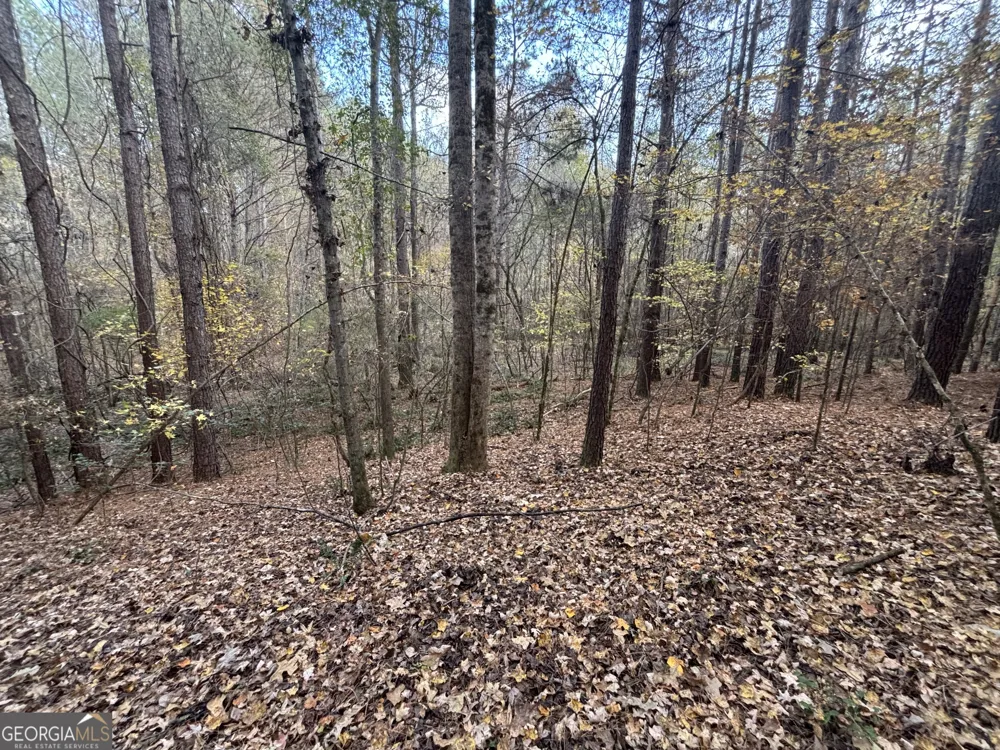 0 Oconee Rd Lot 4 Buckhead, GA 30625