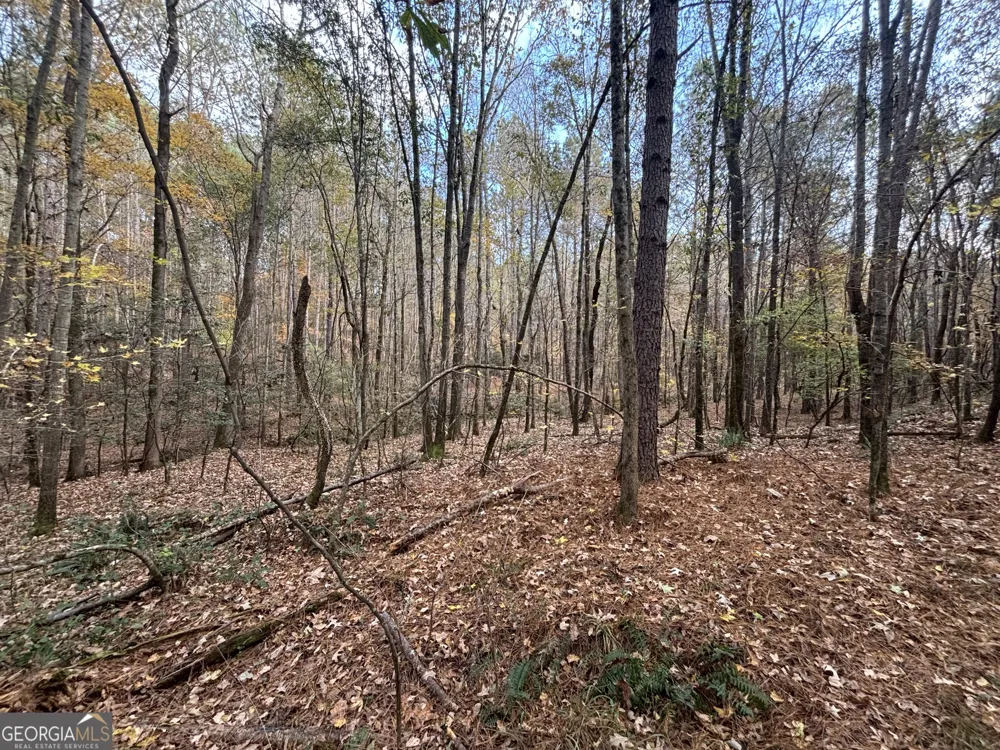 0 Oconee Rd Lot 4 Buckhead, GA 30625