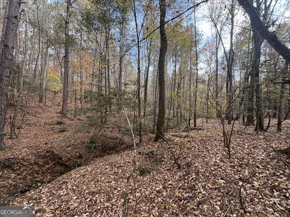 0 Oconee Rd Lot 4 Buckhead, GA 30625