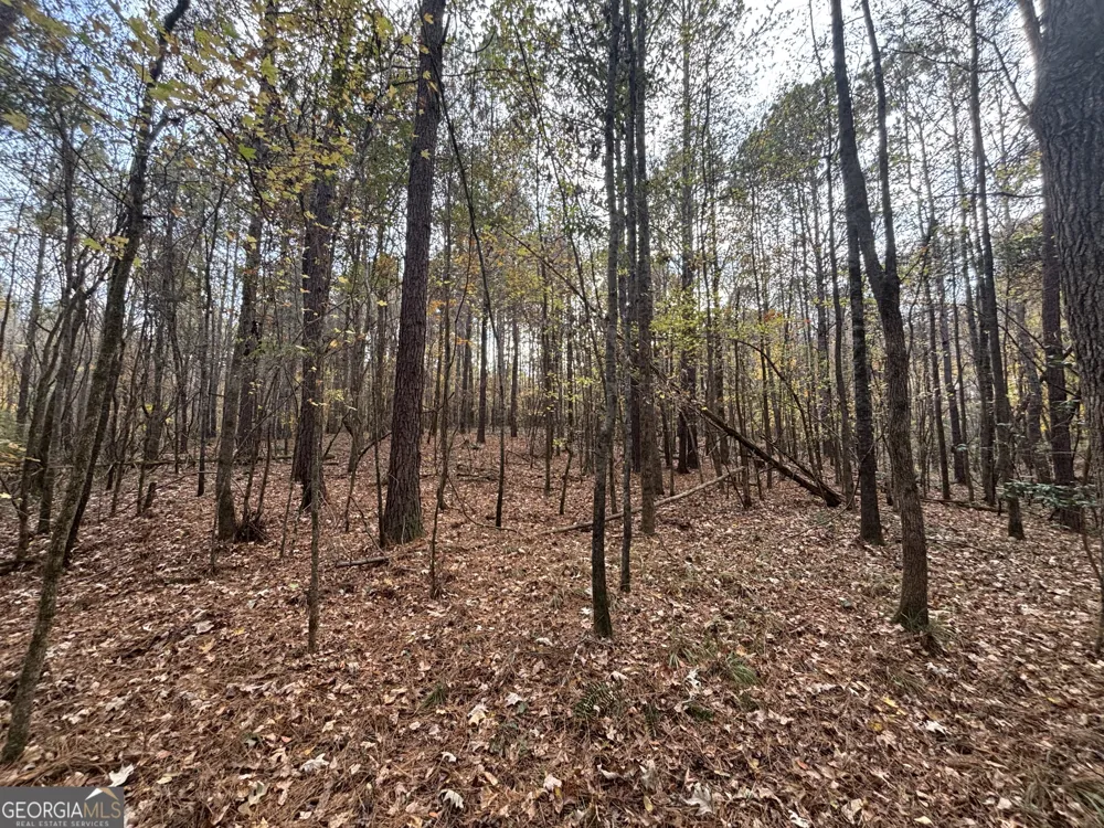 0 Oconee Rd Lot 4 Buckhead, GA 30625
