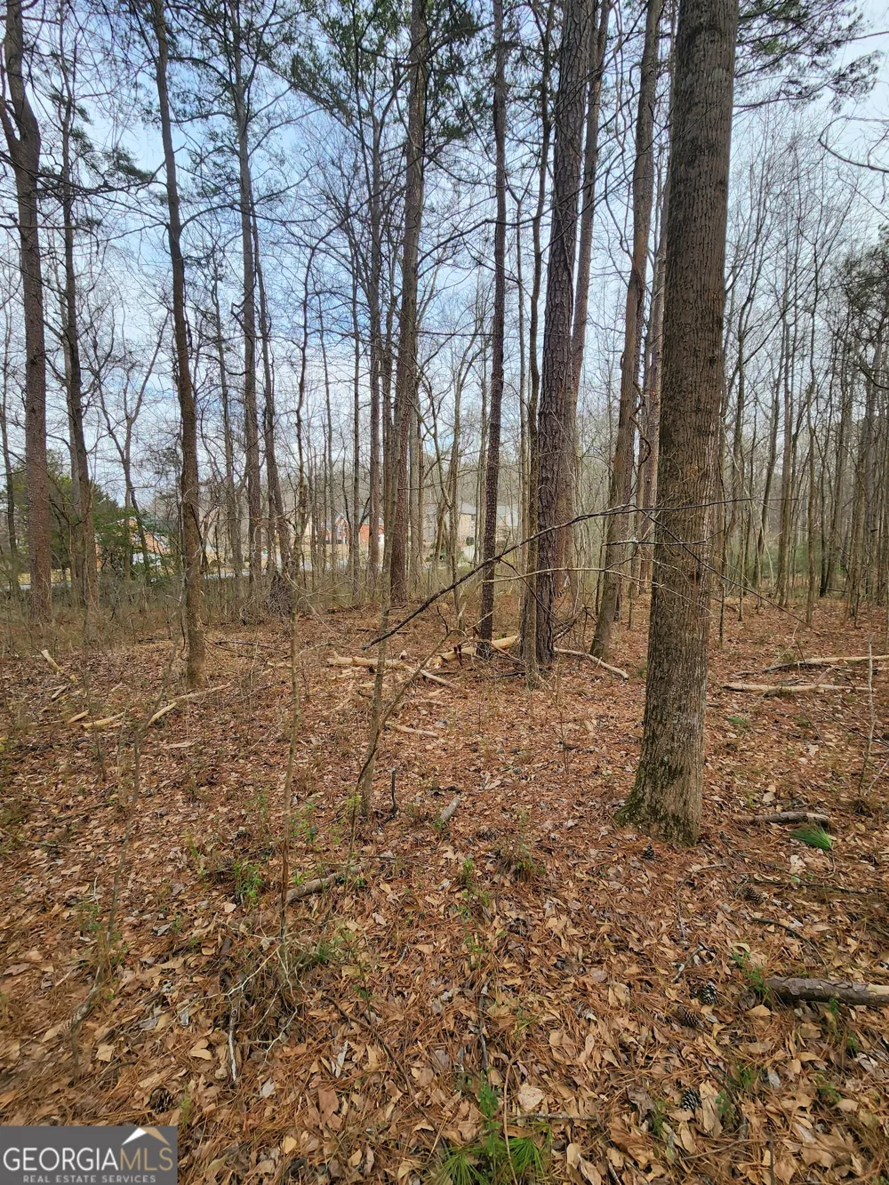 5624 Browns Mill RD Lithonia, GA 30038