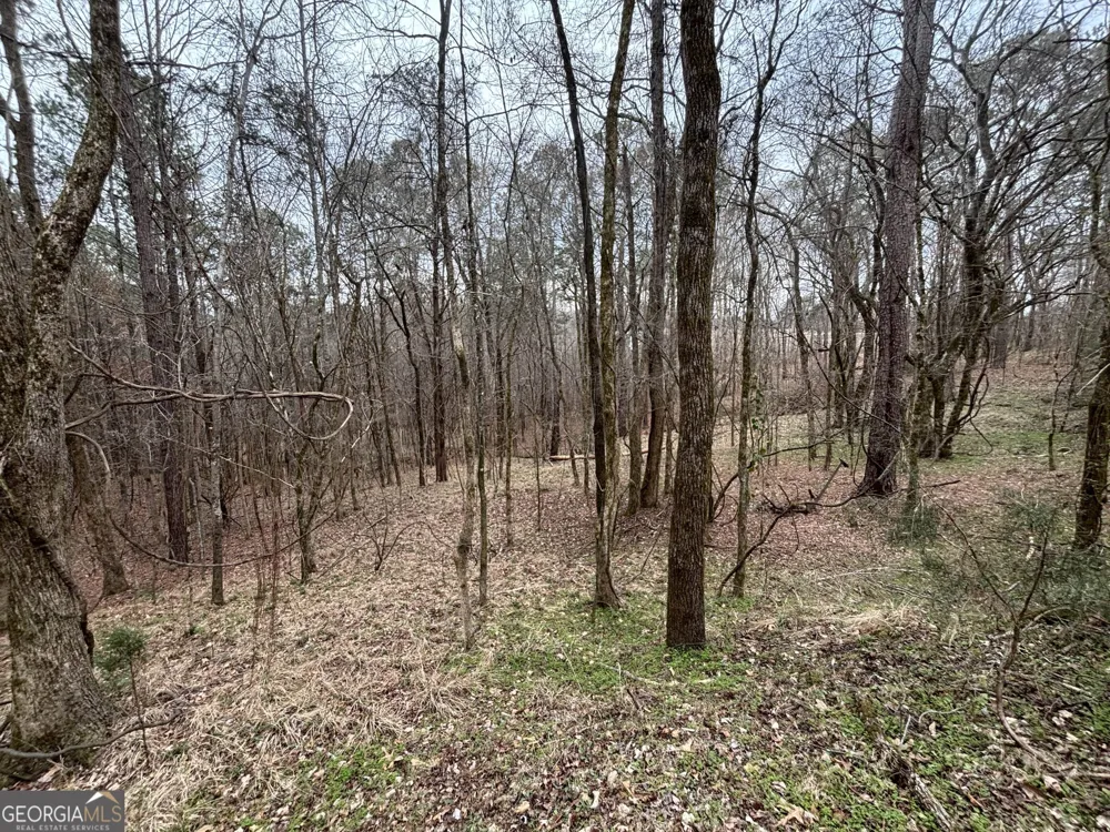 0 Oconee Rd Lot 1 Buckhead, GA 30625