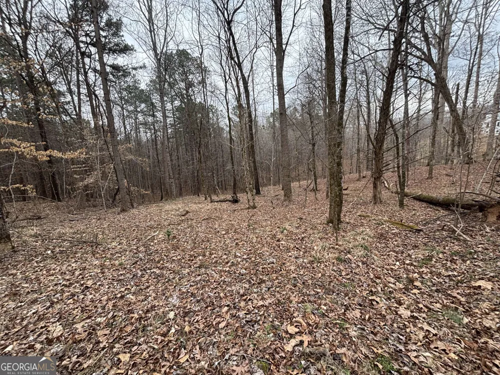 0 Oconee Rd Lot 1 Buckhead, GA 30625