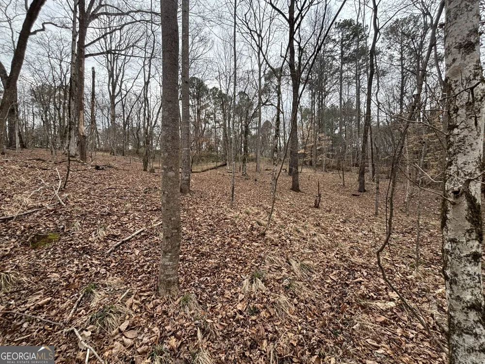 0 Oconee Rd Lot 1 Buckhead, GA 30625