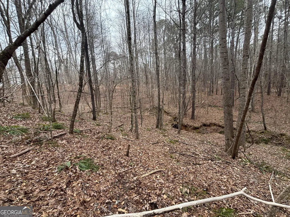 0 Oconee Rd Lot 1 Buckhead, GA 30625