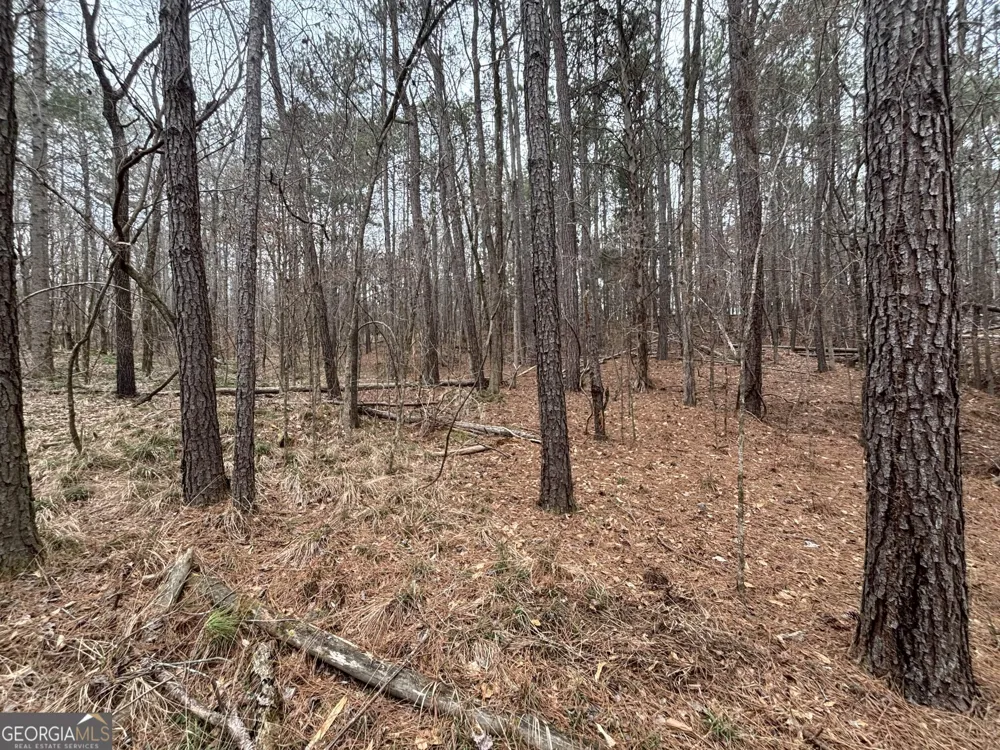 0 Oconee Rd Lot 3 Buckhead, GA 30625