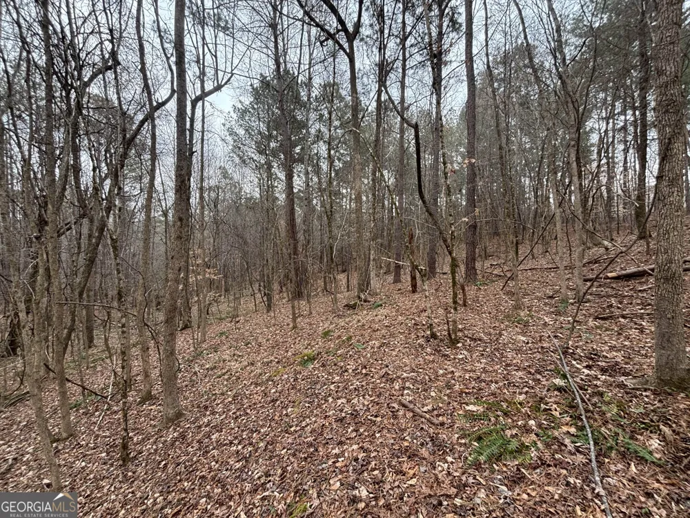 0 Oconee Rd Lot 3 Buckhead, GA 30625
