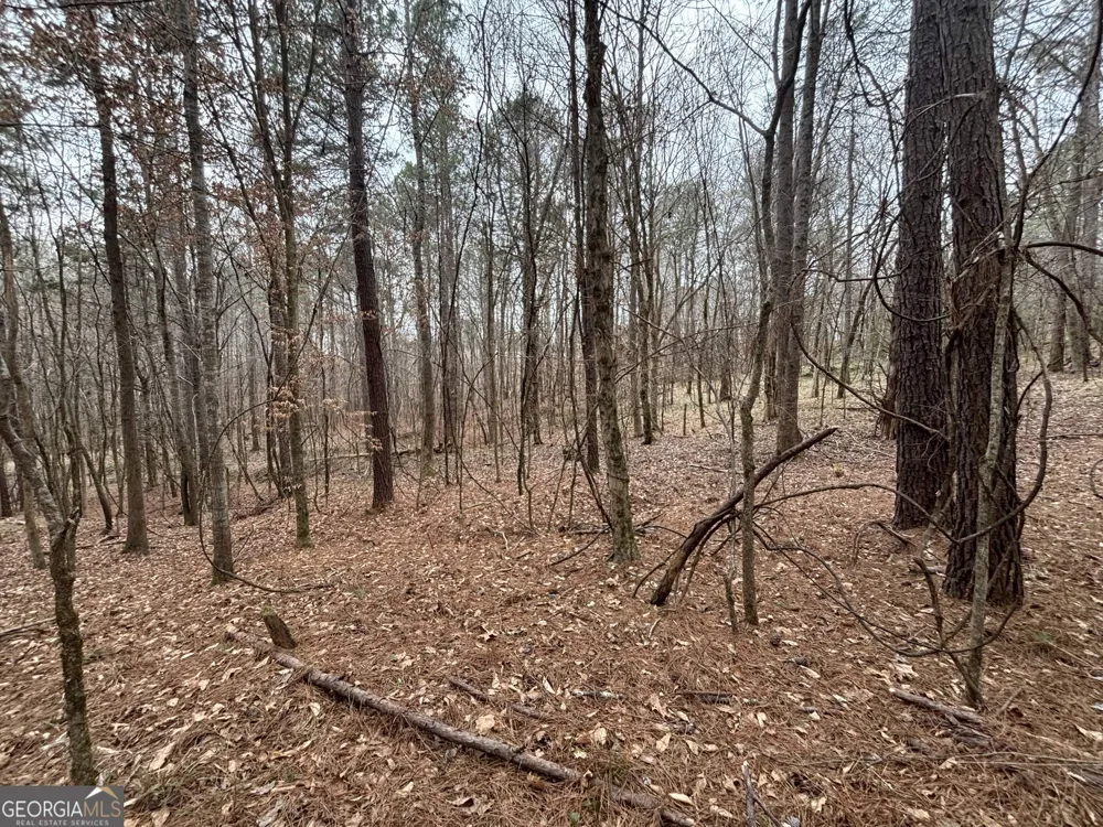 0 Oconee Rd Lot 3 Buckhead, GA 30625