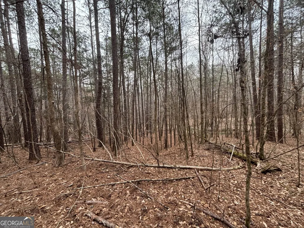 0 Oconee Rd Lot 3 Buckhead, GA 30625