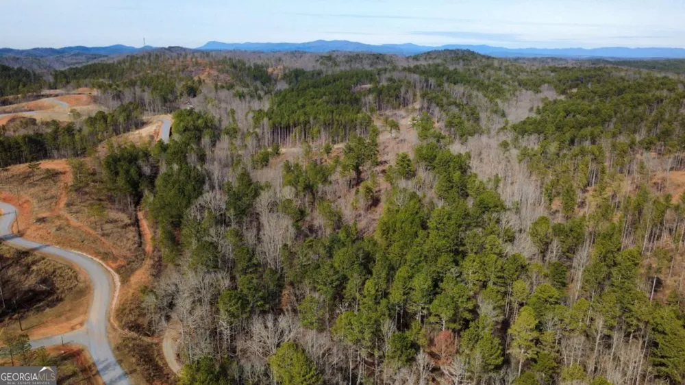 LOT 108 Blalock Mountain RD Talking Rock, GA 30175