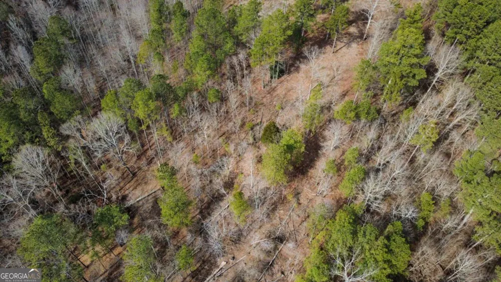 LOT 108 Blalock Mountain RD Talking Rock, GA 30175