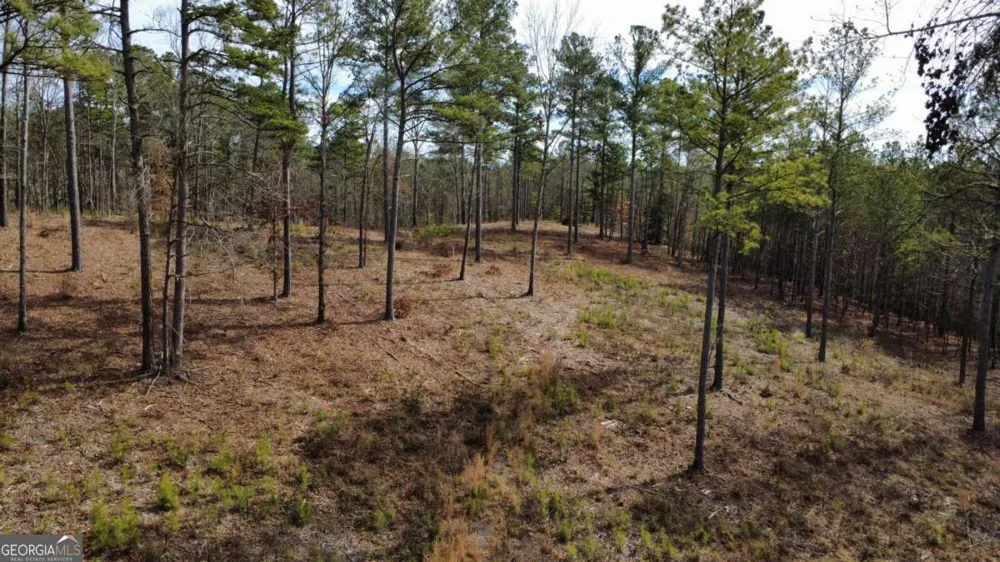 LOT 108 Blalock Mountain RD Talking Rock, GA 30175