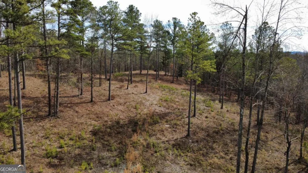 LOT 108 Blalock Mountain RD Talking Rock, GA 30175