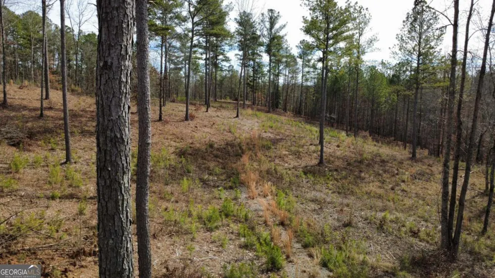 LOT 108 Blalock Mountain RD Talking Rock, GA 30175