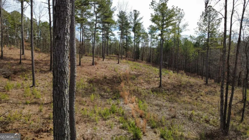 LOT 108 Blalock Mountain RD Talking Rock, GA 30175