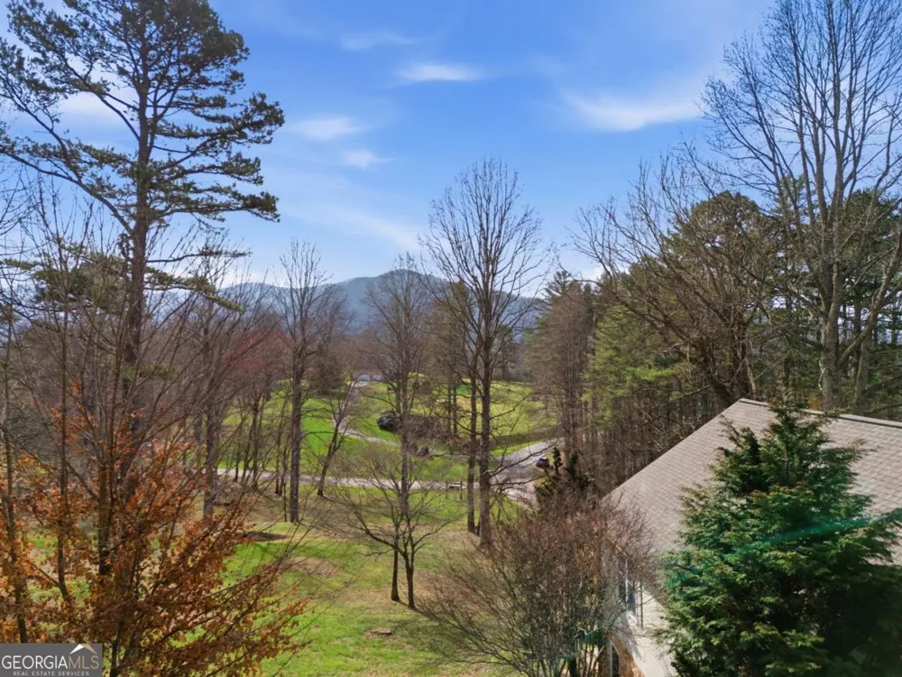 3015 Bear LN Hiawassee, GA 30546