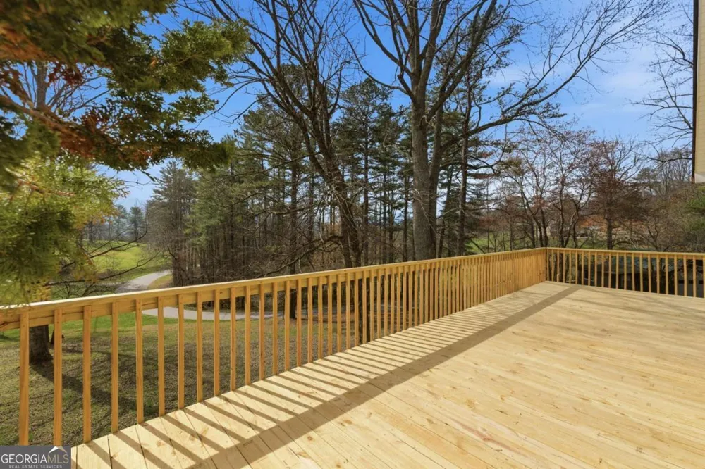 3015 Bear LN Hiawassee, GA 30546