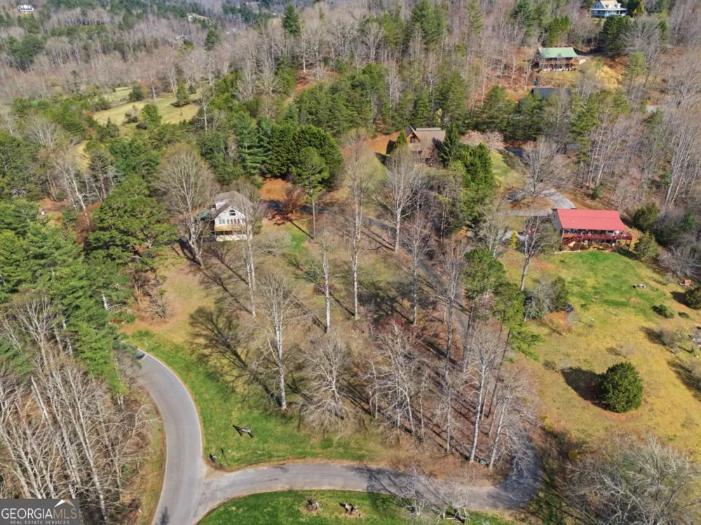 3015 Bear LN Hiawassee, GA 30546