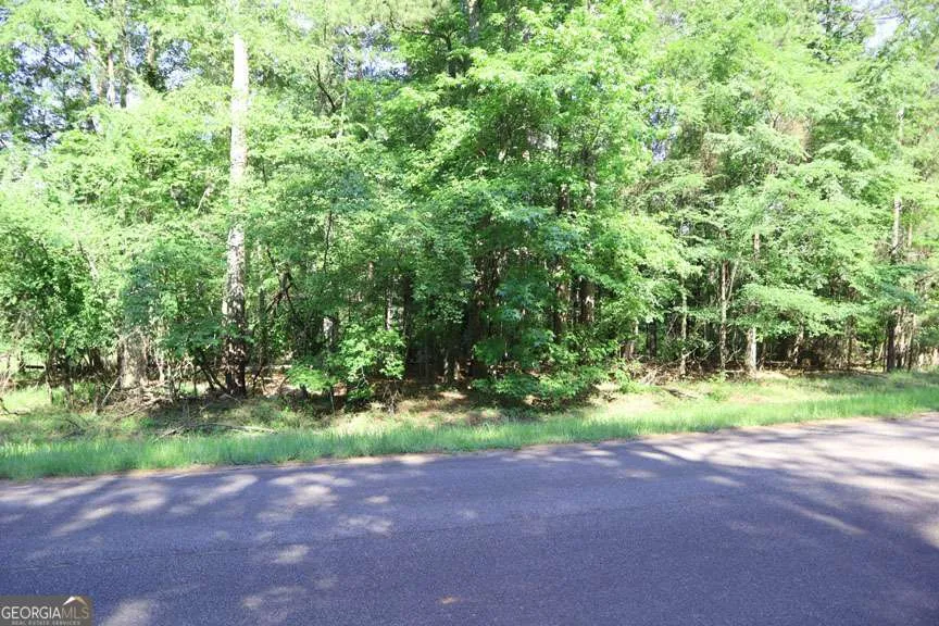 109 Emerald WAY S Sparta, GA 31087
