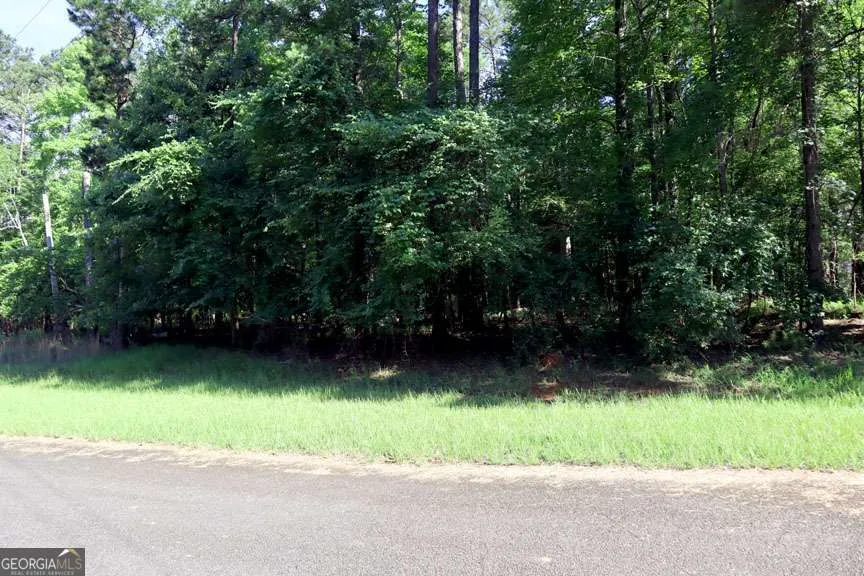 109 Emerald WAY S Sparta, GA 31087