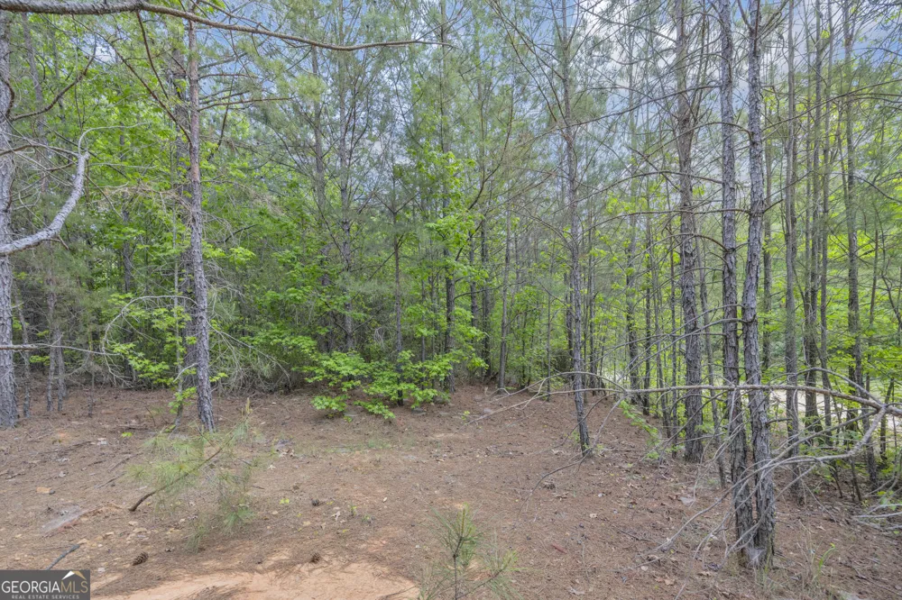 4343 HWY 106 S Hull, GA 30646