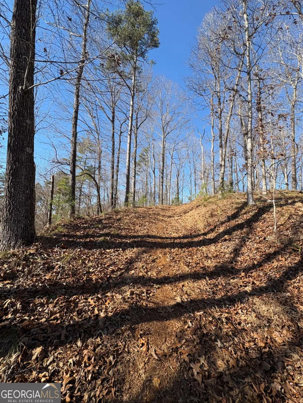 0 Lawrence RD Dawsonville, GA 30534