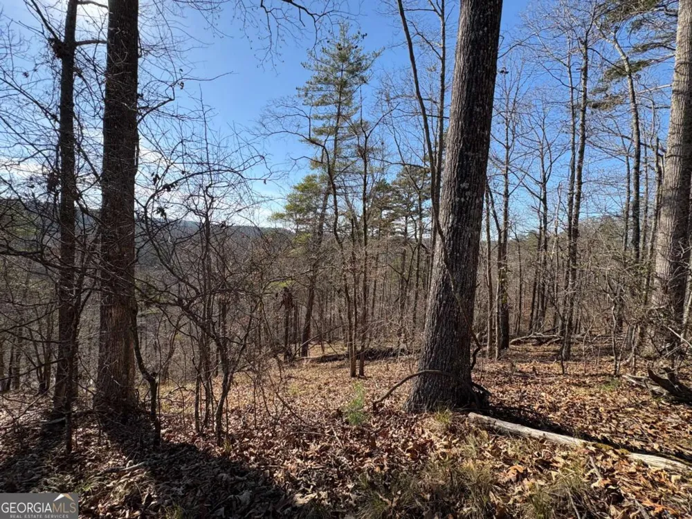 0 Lawrence RD Dawsonville, GA 30534