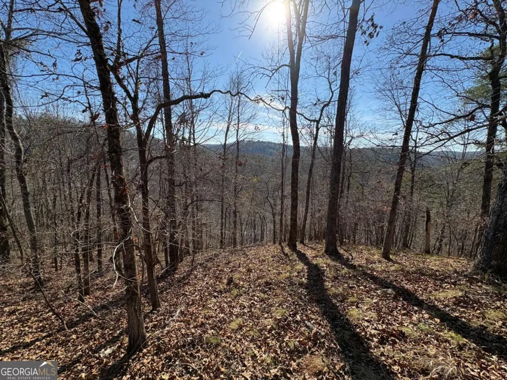 0 Lawrence RD Dawsonville, GA 30534