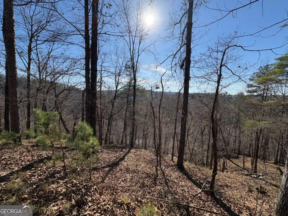 0 Lawrence RD Dawsonville, GA 30534