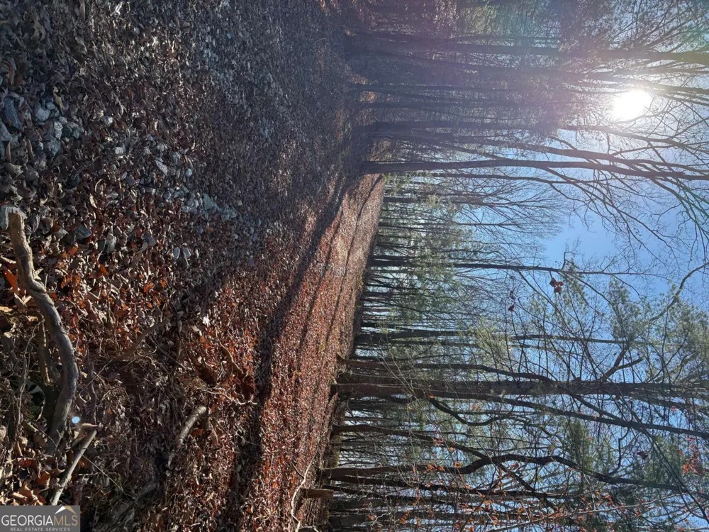 0 Lawrence RD Dawsonville, GA 30534