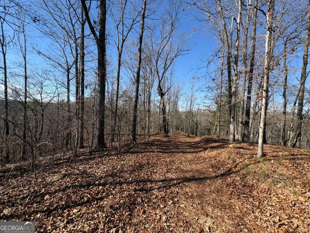 0 Lawrence RD Dawsonville, GA 30534