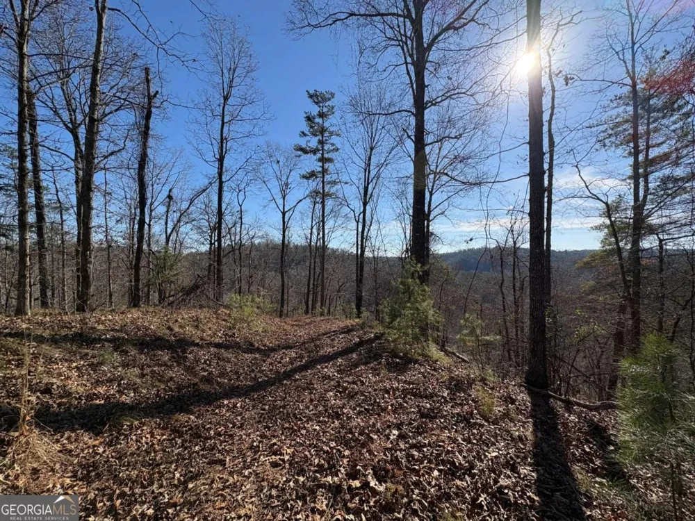 0 Lawrence RD Dawsonville, GA 30534