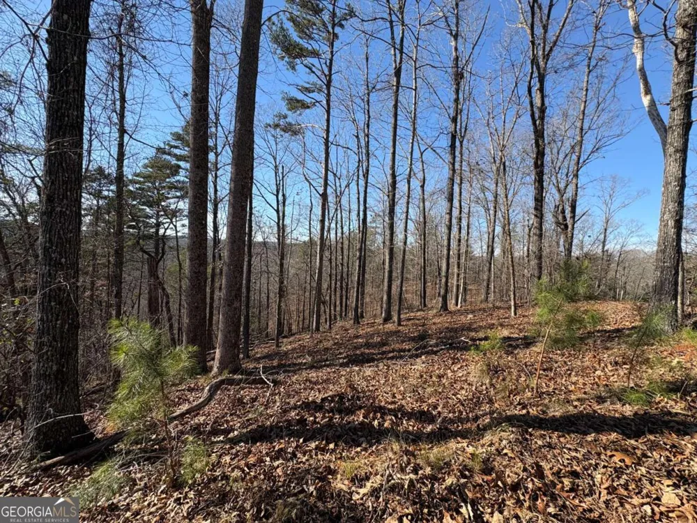 0 Lawrence RD Dawsonville, GA 30534