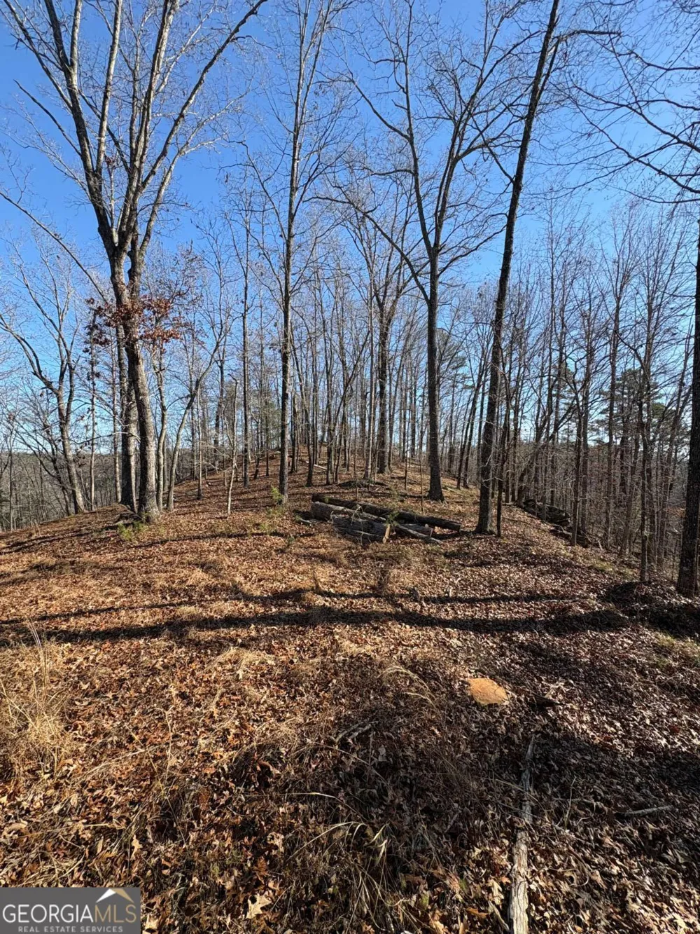 0 Lawrence RD Dawsonville, GA 30534