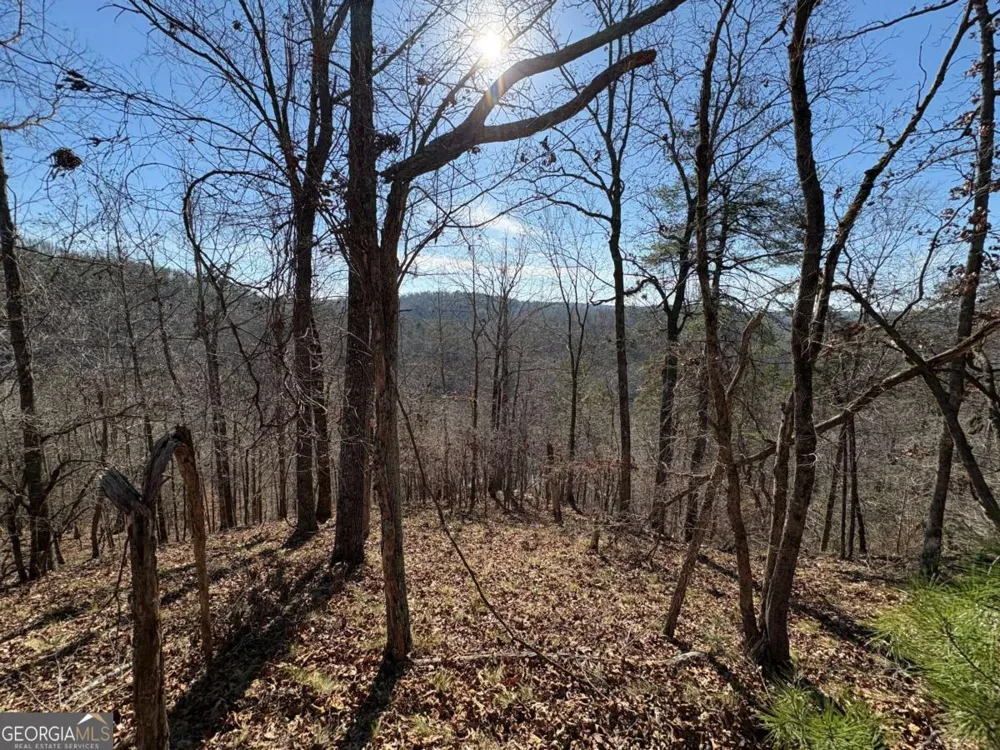 0 Lawrence RD Dawsonville, GA 30534