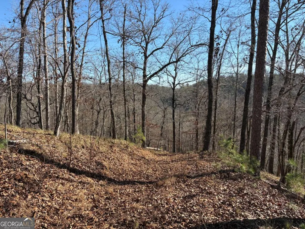 0 Lawrence RD Dawsonville, GA 30534