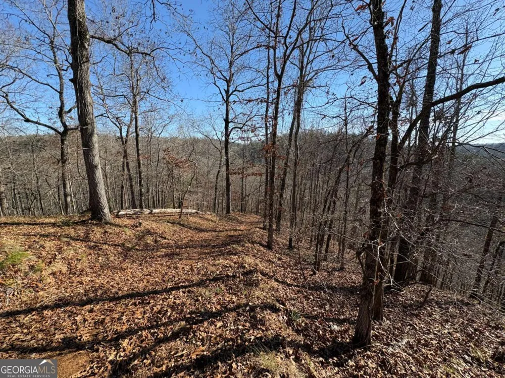 0 Lawrence RD Dawsonville, GA 30534