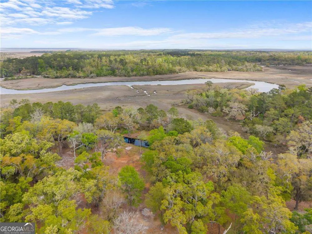 1225 Julienton DR NE Townsend, GA 31331