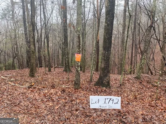 3190 Newport DR East Ellijay, GA 30540