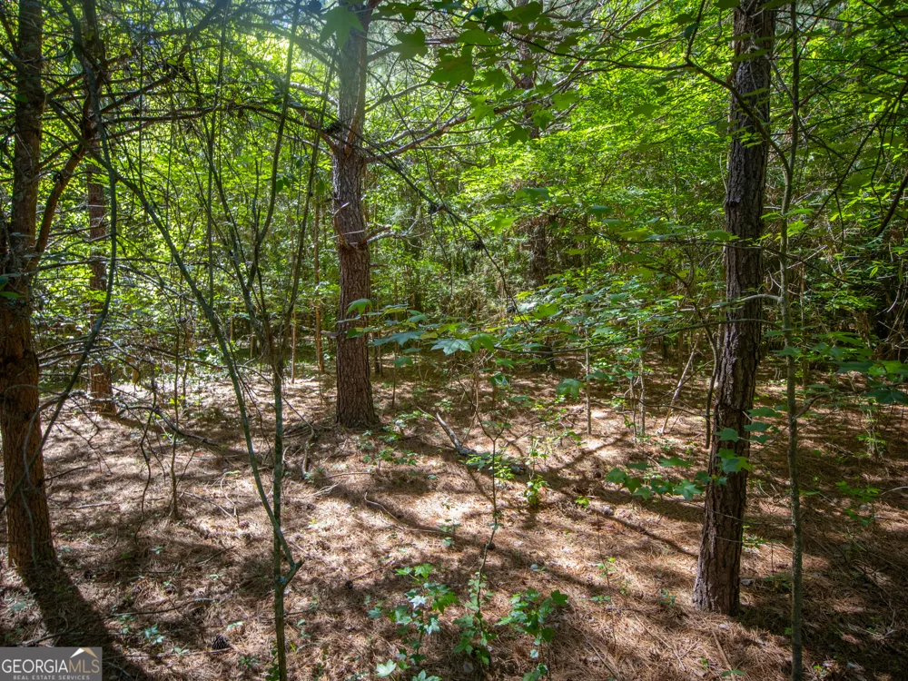 3.58 ACRES Stanfield DR LaFayette, GA 30728