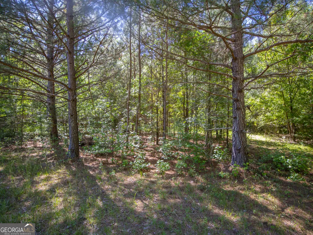 3.58 ACRES Stanfield DR LaFayette, GA 30728