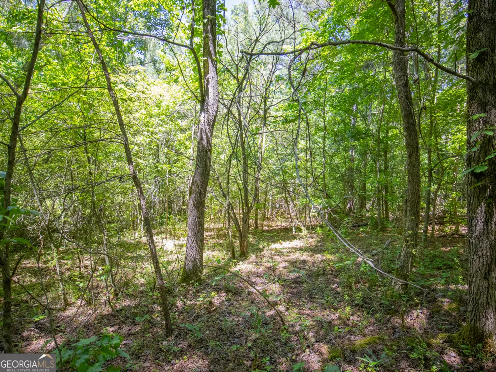 3.58 ACRES Stanfield DR LaFayette, GA 30728
