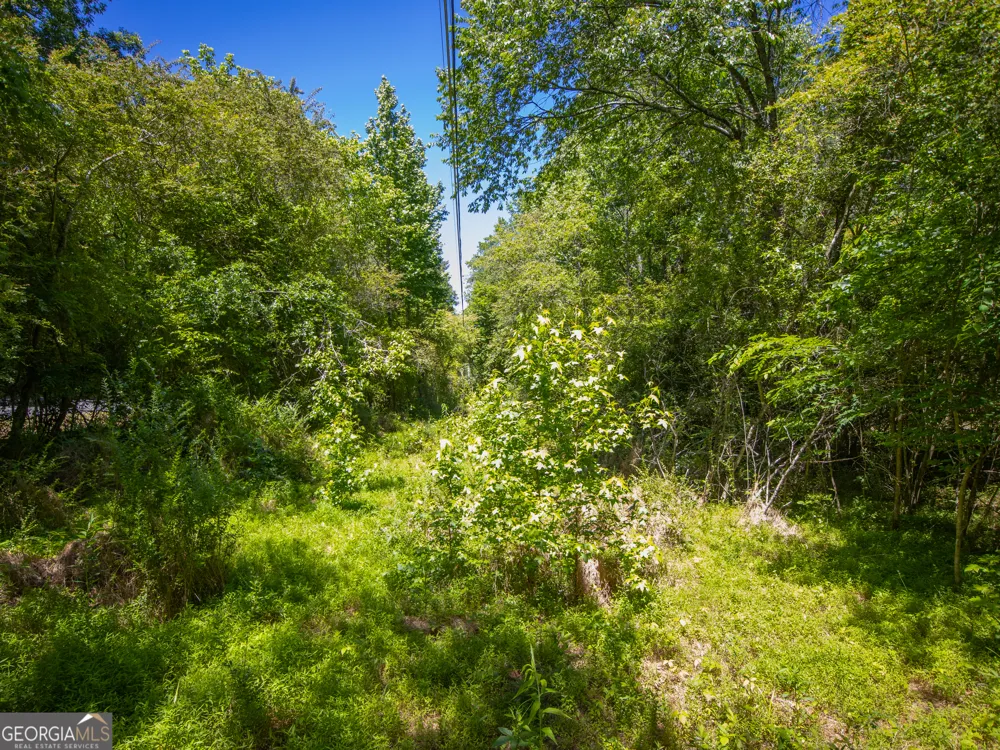 3.58 ACRES Stanfield DR LaFayette, GA 30728